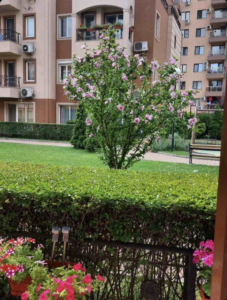 1b177093875537012 4g cleanup