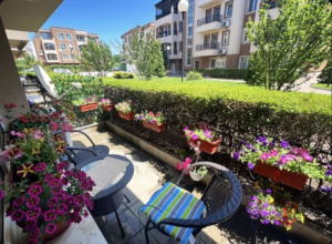 1b177093875537012 yi cleanup