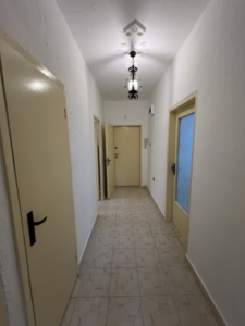 1c176276392869861 ib cleanup