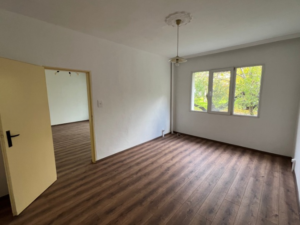 1c176276392869861 ji cleanup