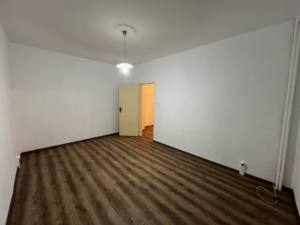 1c176276392869861 mv cleanup