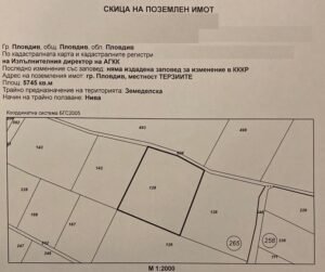 скица